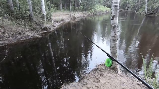 ЛЮБЛЮ ДРАТЬ ОКУНЯ НА РЫБАЛКЕ В НАЧАЛЕ ЛЕТА! ЖАДНЫЙ КЛЁВ ОКУНЯ НА ПОПЛАВОК! РЫБНЫЙ РУЧЕЙ НА ЯМАЛЕ! смотреть онлайн