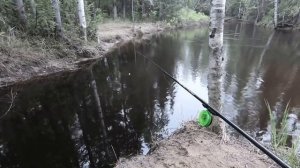 ЛЮБЛЮ ДРАТЬ ОКУНЯ НА РЫБАЛКЕ В НАЧАЛЕ ЛЕТА! ЖАДНЫЙ КЛЁВ ОКУНЯ НА ПОПЛАВОК! РЫБНЫЙ РУЧЕЙ НА ЯМАЛЕ!