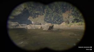 Red Dead Redemption 2 - место обитания дрозда и сойки