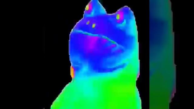 Упоротая Лягушка смотреть онлайн