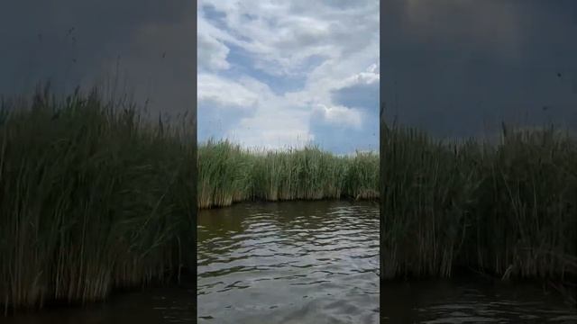 Поворот не туда в лимане смотреть онлайн