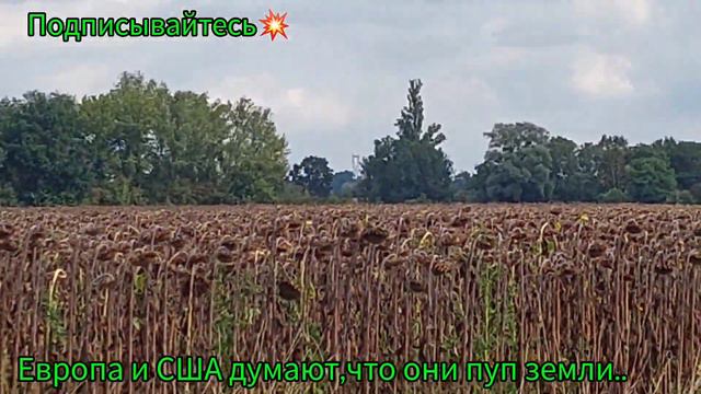 ЕС отменяет визы для россиян.Депортация евреев теперь русских?Попросит ли Европа ПРОЩЕНИЯ у России? смотреть онлайн