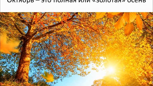 поздняя осень, осенние месяцы смотреть онлайн