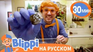 Песня про Сладости🍩🍪 | Обучающие песенки для детей | Blippi Russian