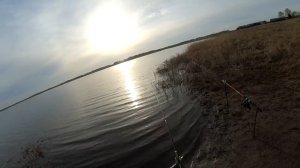 Рыбалка на карася на донки на пенопласт. Снасть - "Удар" (пружина)