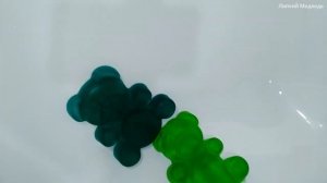 УЛИТКИ НАПАЛИ НА ЖЕЛЕЙНОГО МЕДВЕДЯ ТИМОНА И МАКСА