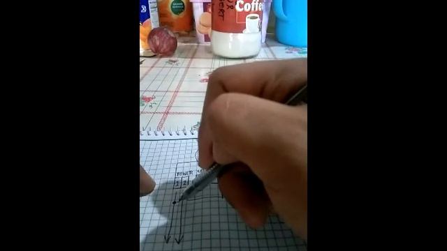 how to wire up STC-1000 digital thermostat? смотреть онлайн