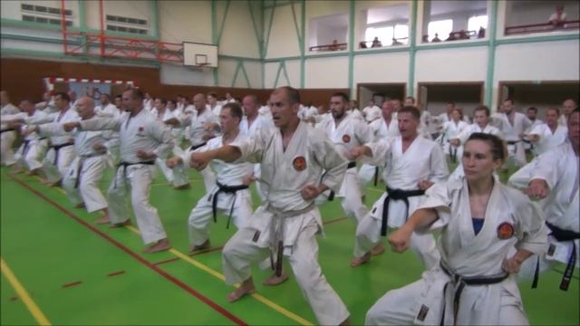 チェコの空手ヒーローたち！ Karate Heroes in Czech Republic！ смотреть онлайн