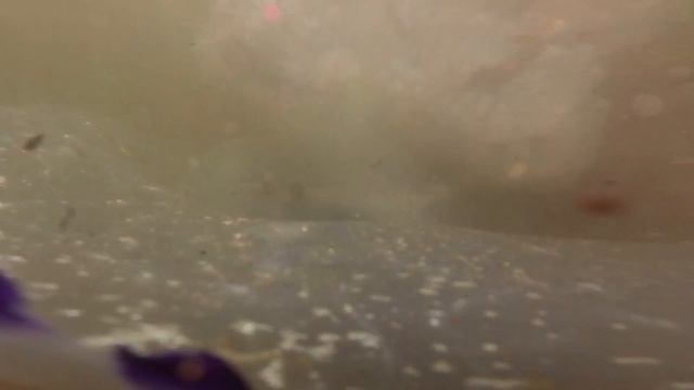 Кучугуры и долина лотосов 2023