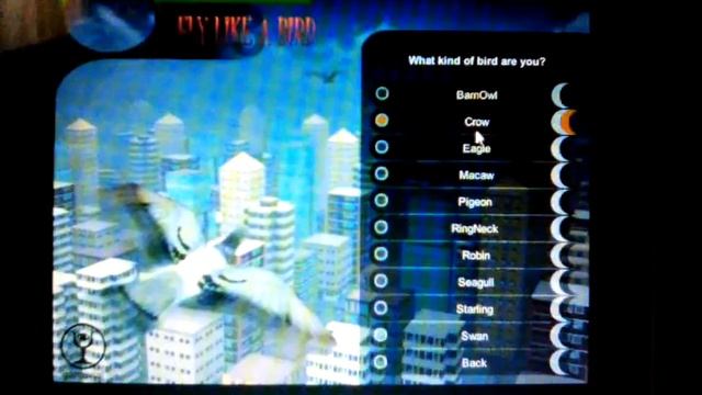 Играем в fly like a birds 3 смотреть онлайн