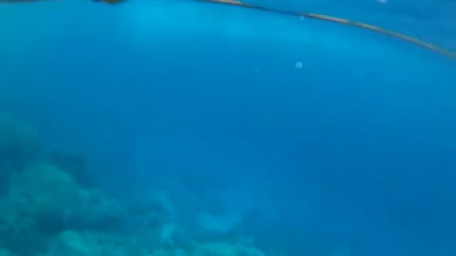 Видеосъемка под водой. Снорклинг. смотреть онлайн