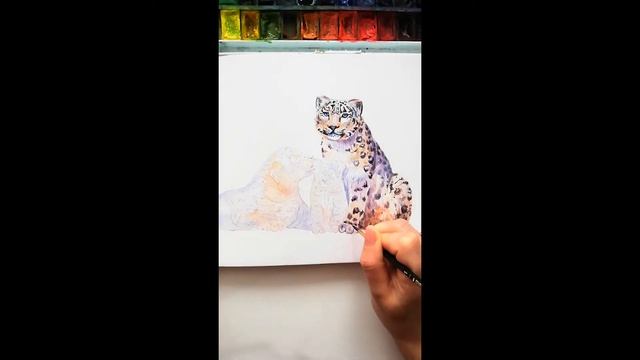 Snow Leopards Watercolor Painting. Leopards Family. Снежный барс акварелью смотреть онлайн