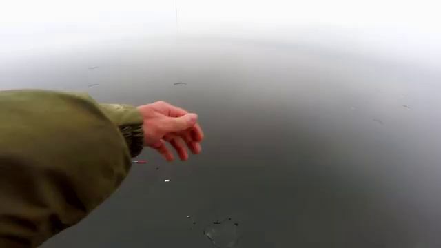 Залипательные поклевки судака на балансир! Зимняя рыбалка на судака от первого лица | Дикая рыбалка смотреть онлайн
