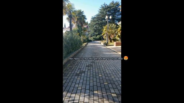 ⛅путешествие Басиков в Сочи✨ *у нас прибавление* смотреть онлайн