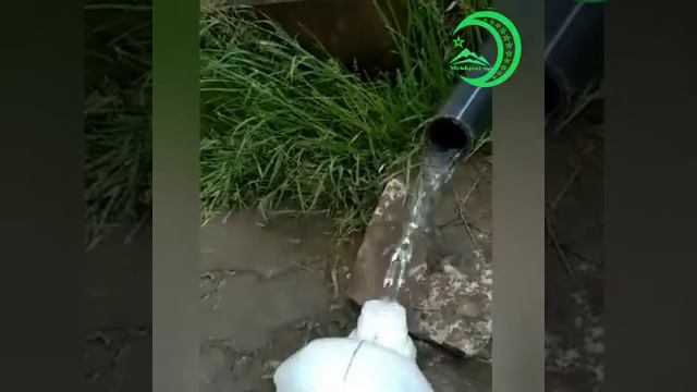 куйдукь смотреть онлайн