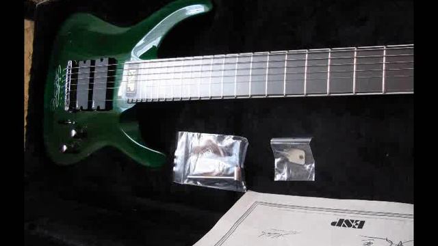 ESP Custom Shop Stef-7 Photo&Sound смотреть онлайн