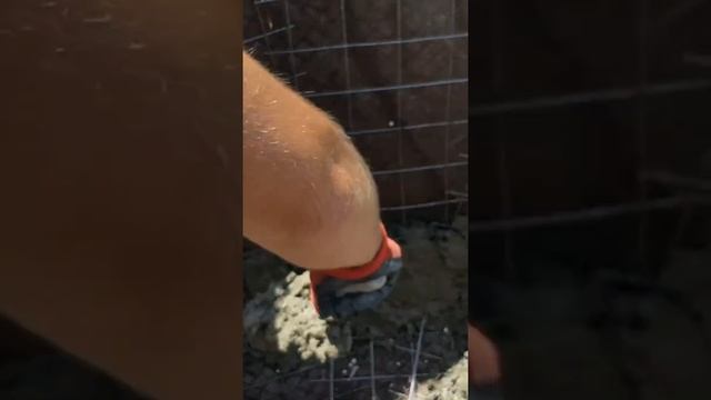 Бетонируем и штукатурим детский пруд | Делаем ступеньки в пруд | ПРУД ПРУДИ смотреть онлайн