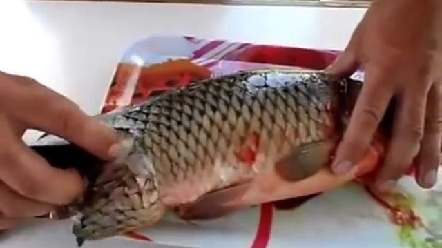 Как почистить рыбу в квартире и не испачкать кухню чешуей! смотреть онлайн