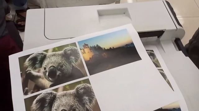 Tes Print HP Color Enterprise M750 A3 - Color | Harga murah смотреть онлайн