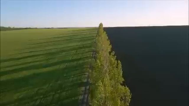 Маме было важно не обидеть сестру. Она отдала ее внукам подарки, которые я покупала для своих детей смотреть онлайн