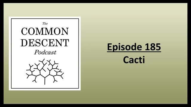 Episode 185 - Cacti смотреть онлайн