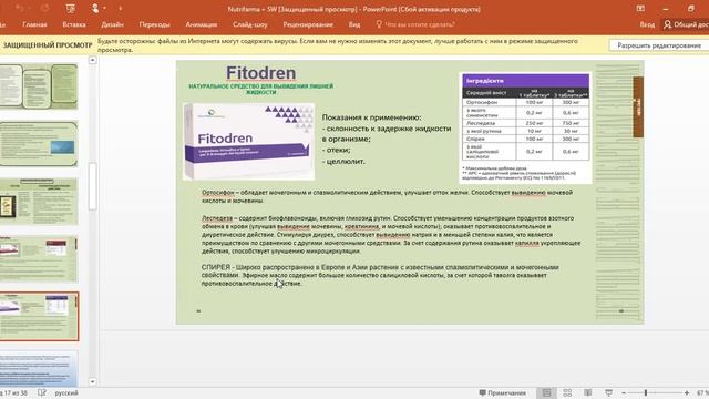 Велнесс школа 3 ноября  23 года