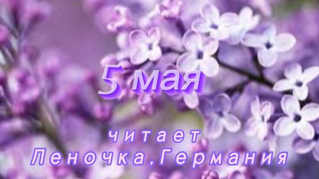 5 Мая - Счастливая медитация смотреть онлайн