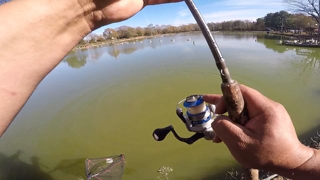 Big carp on 1in Gulp Alive minnow смотреть онлайн