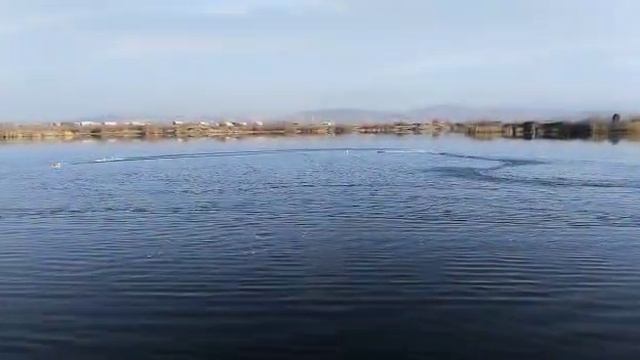 Гонка ФСР ЭКСПЕРТ 23 октября смотреть онлайн