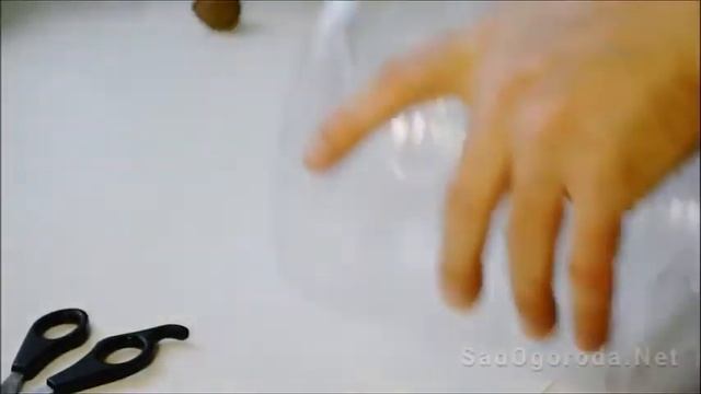 Самодельные мышеловки из пластиковой бутылки смотреть онлайн