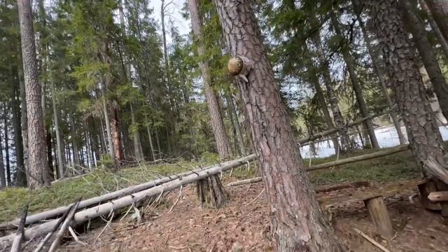 Часть вторая. Рыбалка в Карелии на майских праздниках 2022 смотреть онлайн