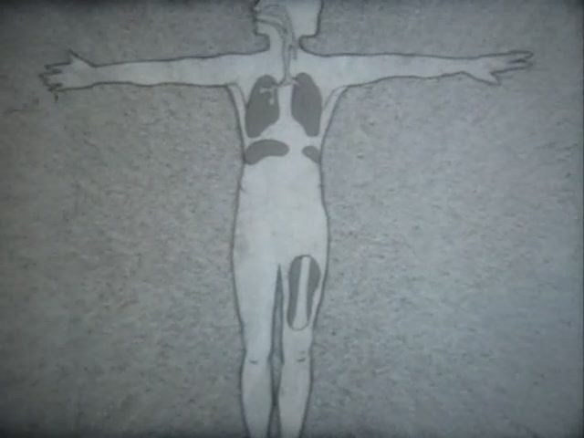 Физиология человека. Иммунитет