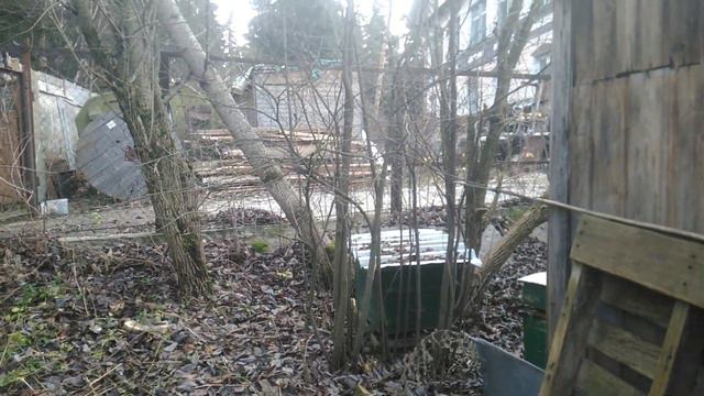 Алабай Боня встретила соседа кавказца. Волкодавы. смотреть онлайн