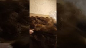 Славянские волосы .Срез.Работа без карды.