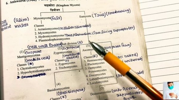 Classification of fungi in hindi || Anisworth classification of fungi || Alexopolus classification