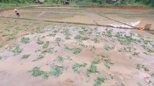 Building Wooden House 2023 - Roof With Palm Leaves - Build A New Life | Like Building Life