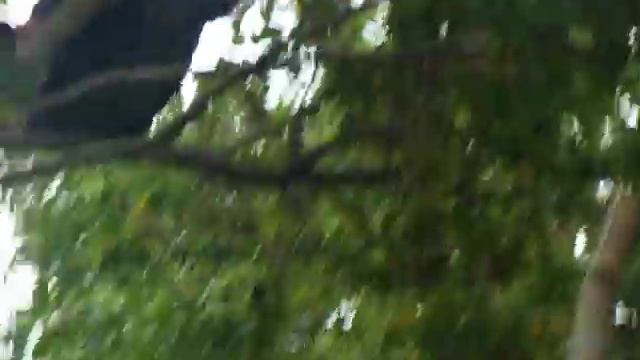 застрял друг смотреть онлайн