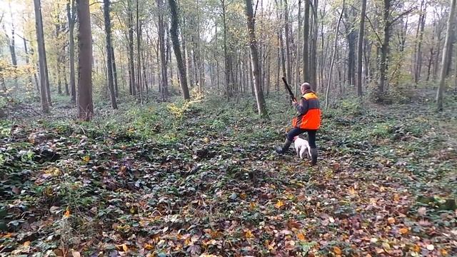 Setter à l'arrêt смотреть онлайн