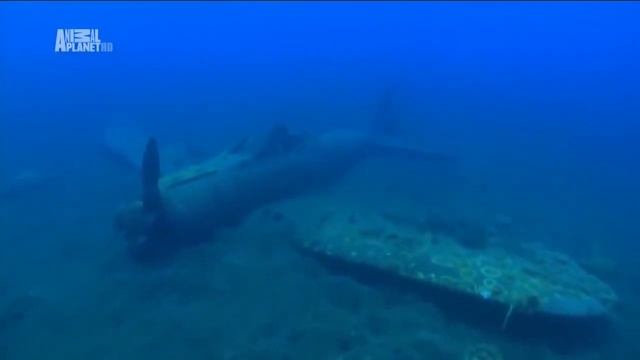 The Magic of the Big Blue.Австралия и Океания. смотреть онлайн