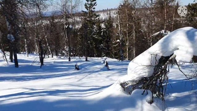 Закрытие сезона 2022 Но это не точно.. смотреть онлайн