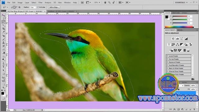 20 Lasso Tool in Adobe Photoshop CS4 Sinhala HD смотреть онлайн