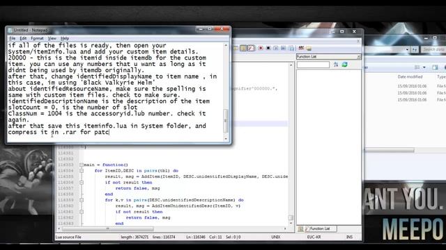 Hosting Malaya - Tutorial to Add Custom Item Ragnarok Online Using Neoncube Patcher смотреть онлайн