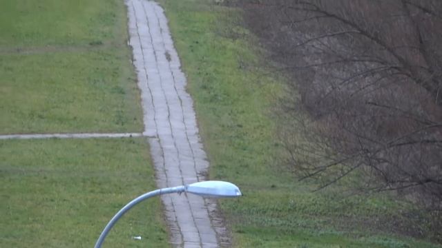 SONY DSC-HX100V ZOOM X 120 смотреть онлайн