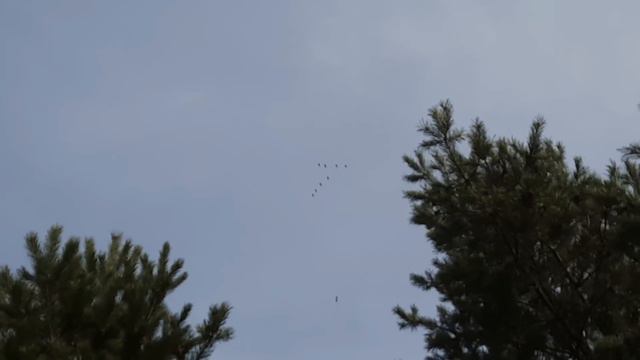 БЕРЁЗОВЫЙ СОК/ ДЕЛА ХОЗЯЙСКИЕ/ РЕМОНТ ИНВЕНТАРЯ/ смотреть онлайн