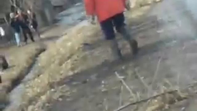 "Дед Мазай и зайцы" смотреть онлайн