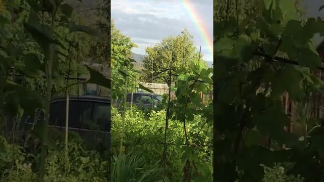 Радуга на даче... смотреть онлайн