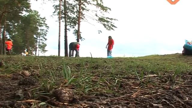 Огурдино. Спустя некоторое время после первой уборки. смотреть онлайн