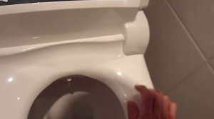 Моем жопу каждый день. Крышка биде на унитаз. (Жополиз)