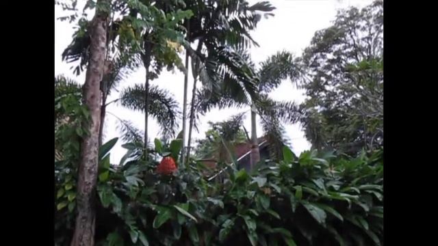 Остров Бали / Индонезия