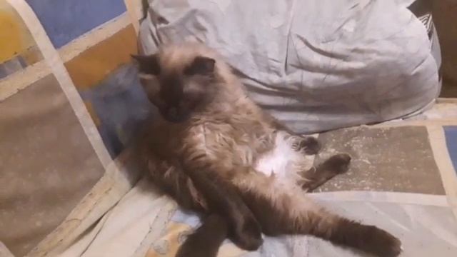 Андрюша-мыслитель)). смотреть онлайн